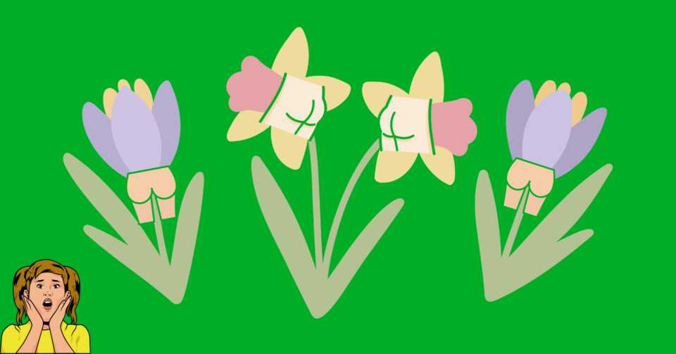 Template FB Event Cover Brez sezone 38